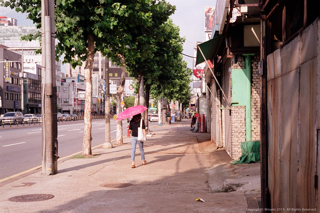 Pink Umbrella