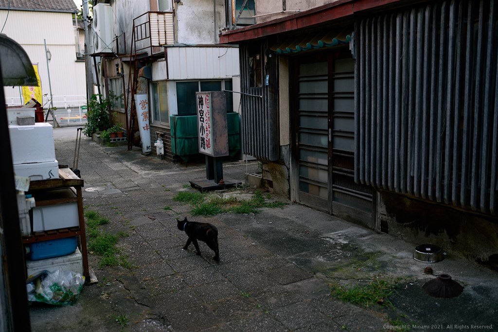 神宮小路